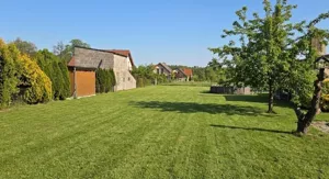 Działka 5 000,00 m², Borowa, Akacjowa, Sprzedaż