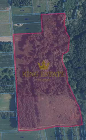 Działka 56 300,00 m², Brzoskwinia, Górska, Sprzedaż