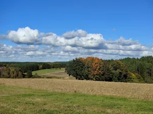 Działka 1 013,00 m², Strzepcz, Kasztanowa, Sprzedaż