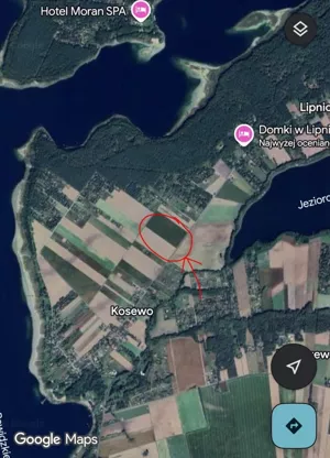 Działka 800,00 m², Powidz, Kosewo, Sprzedaż