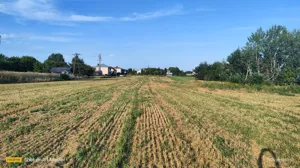 Działka 6 830,00 m², Krasne, Sprzedaż
