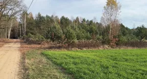 Działka 1 150,00 m², Kruczy Borek, Sprzedaż