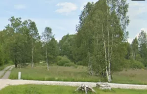 Działka 2 559,00 m², Bystrzyca Kłodzka, lasówka, Sprzedaż