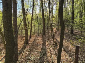 Działka 840,00 m², Zgierz, Letniskowa, Sprzedaż