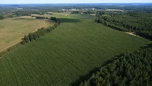 Działka 925 000,00 m², Zielona Góra, ul. Łężyca-Budowlanych, Sprzedaż