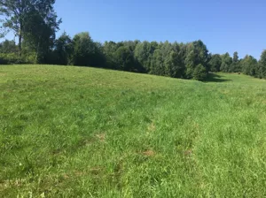 Działka 2 950,00 m², Bieliny, Makoszyn, Sprzedaż