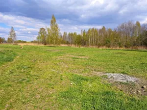 Działka 1 078,00 m², Żabia Wola, Na Księżycu, Sprzedaż