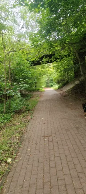 Działka 1 000,00 m², Skarszewy, Nad Stawem, Sprzedaż