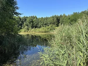Działka 1 500,00 m², Wiktorów, Parkowa, Sprzedaż