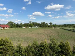 Działka 1 200,00 m², Piekary, Sprzedaż