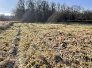 Działka 1 941,00 m², Truskaw, Południowa, Sprzedaż