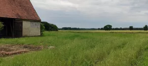 Działka 2 700,00 m², Oleśnica, Poniatowice - Kolonia, Sprzedaż