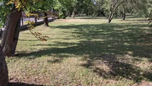 Działka 501,00 m², Wołomin, Przyjacielska, Sprzedaż