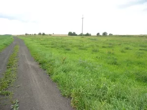 Działka 1 250,00 m², Sorkwity, Pustniki, Sprzedaż
