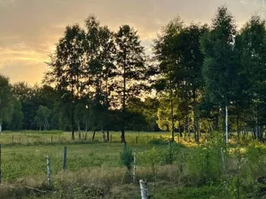 Działka 3 000,00 m², Secymin Polski, Sprzedaż
