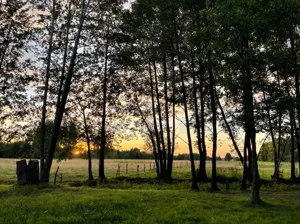 Działka 3 000,00 m², Leoncin, Secymin Polski, Sprzedaż