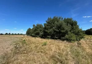Działka 1 300,00 m², Serock, Sprzedaż