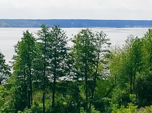 Działka 7 000,00 m², Serock, Sprzedaż