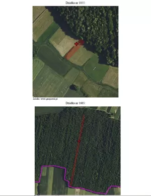 Działka 1 427,00 m², Siemierz, Sprzedaż