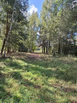 Działka 8 418,00 m², Sokóle, Sprzedaż