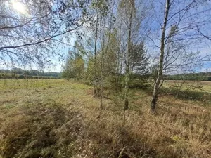 Działka 11 100,00 m², Stanisławów, Sprzedaż