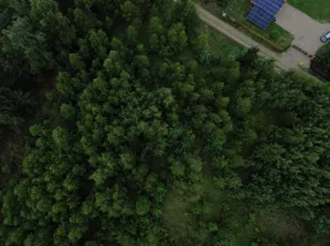 Działka 6 600,00 m², Świętajno, Sprzedaż