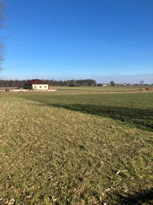 Działka 940,00 m², Tuszyn, Szczukwińska, Sprzedaż