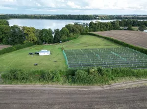 Działka 12 500,00 m², Trzcińsko-Zdrój, Tchórzono działka, Sprzedaż