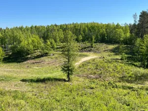 Działka 1 227,00 m², Purda, w lesie nad jeziorem, Sprzedaż