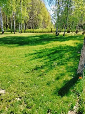 Działka 1 300,00 m², Pyskowice, Wiejska, Sprzedaż