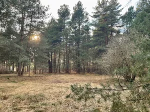 Działka 1 614,00 m², Siemiatycze, wólka nadbużna, Sprzedaż