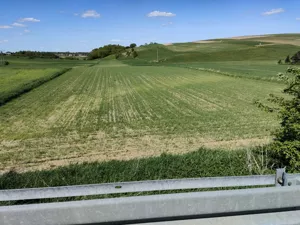 Działka 11 100,00 m², Zadroże, Sprzedaż