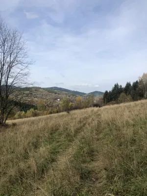 Działka 8 810,00 m², Zawoja, Sprzedaż