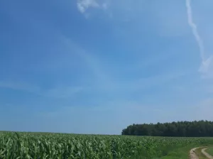 Działka 700,00 m², Śliwice, Żytnia, Sprzedaż