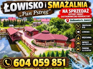 Lokal użytkowy 6 000,00 m², Bolkowice, Sprzedaż