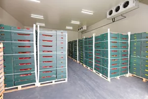 Lokal użytkowy 200,00 m², Kraków, Mistrzejowice, Nowa Huta, Wynajem