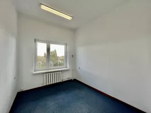 Lokal użytkowy 12,00 m², Łódź, Śródmieście, Piotrkowska, Wynajem