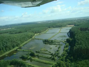 Lokal użytkowy 150 000,00 m², Strzelce Krajeńskie, Sprzedaż