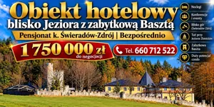 Lokal użytkowy 2 000,00 m², Leśna, Złotniki Lubańskie, Sprzedaż