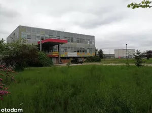 Magazyn 2 000,00 m², Praszka, Kaliska, Sprzedaż