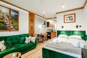 Mieszkanie jednopokojowe 27,00 m², Zakopane, Żeromskiego, Sprzedaż