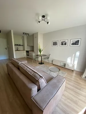 Mieszkanie jednopokojowe 37,00 m², Łódź, Śródmieście, Milionowa, Wynajem