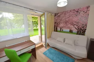 Mieszkanie jednopokojowe 20,00 m², Kraków, Podgórze, Uśmiech, Wynajem
