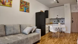 Mieszkanie dwupokojowe 32,00 m², Łódź, Śródmieście, Dowborczyków, Sprzedaż