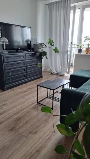 Mieszkanie dwupokojowe 50,00 m², Poznań, Św. Łazarz, Łazarz, Głogowska, Wynajem