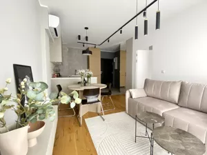 Mieszkanie dwupokojowe 41,00 m², Wrocław, Stare Miasto, R. Dmowskiego, Wynajem