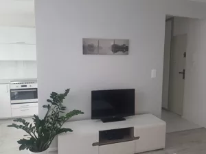 Mieszkanie dwupokojowe 33,00 m², Kraków, Krowodrza, Zakrzowiecka 49/, Wynajem