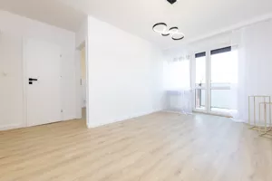 Mieszkanie trzypokojowe 47,00 m², Leszno, Opalińskich, Sprzedaż