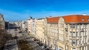 Mieszkanie siedmiopokojowe 162,00 m², Łódź, Śródmieście, Narutowicza, Sprzedaż