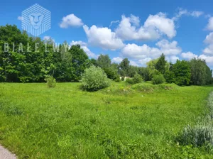 Działka 6 400,00 m², Elżbietów, Sprzedaż